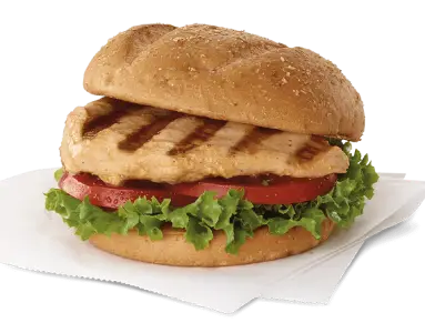 grilled chicken snadwich